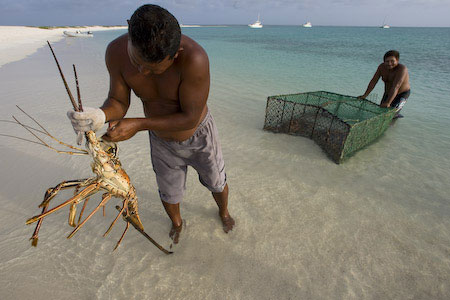 Los Roques Kitesurfing
