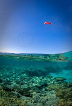 Paragliding in paradise
